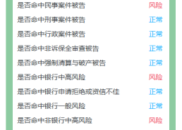 极客查征信可靠吗？查大数据哪个平台好