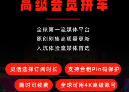 netflix会员多少钱一月,在国内拼车不用哪么贵！