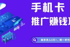 大流量卡推广项目，新手月入5万+，附一手代理渠道。