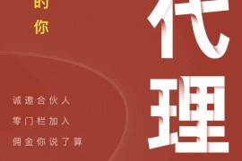 大数据代理怎么挣钱？极客查