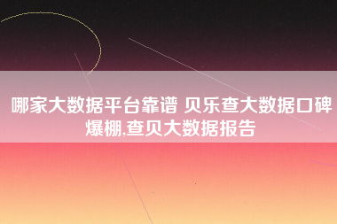 哪家大数据平台靠谱 贝乐查大数据口碑爆棚,查贝大数据报告