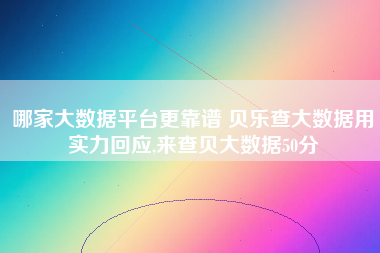 哪家大数据平台更靠谱 贝乐查大数据用实力回应,来查贝大数据50分