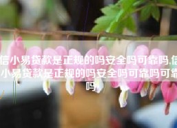信小易贷款是正规的吗安全吗可靠吗,信小易贷款是正规的吗安全吗可靠吗可靠吗