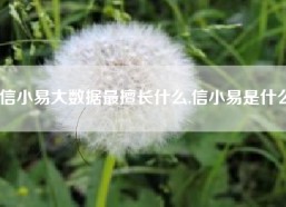 信小易大数据最擅长什么,信小易是什么