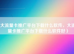 大流量卡推广平台下载什么软件，大流量卡推广平台下载什么软件好）
