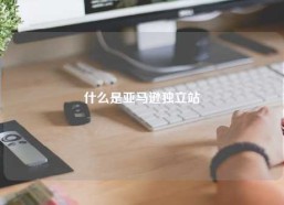 什么是亚马逊独立站