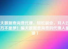 大数据查询费代理，轻松副业，月入过万不是梦！骗大数据查询费的代理人是谁）