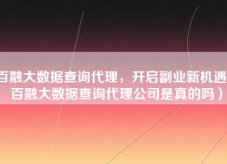 百融大数据查询代理，开启副业新机遇（百融大数据查询代理公司是真的吗）