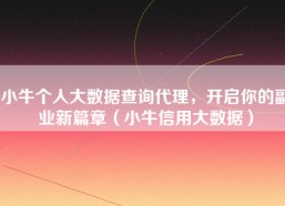 小牛个人大数据查询代理，开启你的副业新篇章（小牛信用大数据）