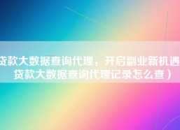 贷款大数据查询代理，开启副业新机遇（贷款大数据查询代理记录怎么查）