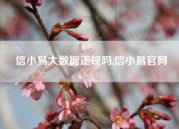 信小易大数据正规吗,信小易官网