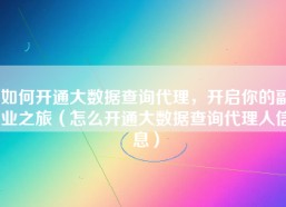 如何开通大数据查询代理，开启你的副业之旅（怎么开通大数据查询代理人信息）
