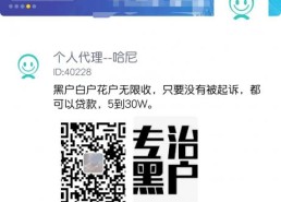 贝融助手：细析贝融助手app，从来查贝到贝融助手！