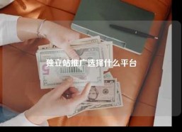 独立站推广选择什么平台