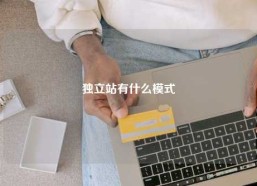 独立站有什么模式