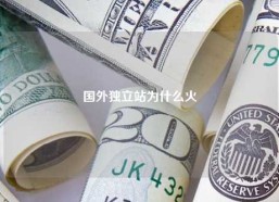 国外独立站为什么火