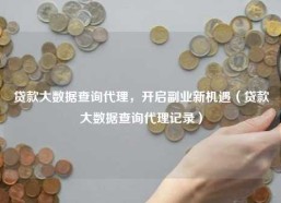 贷款大数据查询代理，开启副业新机遇（贷款大数据查询代理记录）