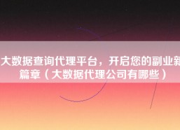 大数据查询代理平台，开启您的副业新篇章（大数据代理公司有哪些）