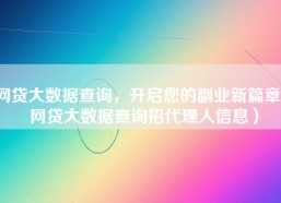 网贷大数据查询，开启您的副业新篇章（网贷大数据查询招代理人信息）