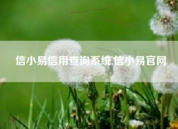 信小易信用查询系统,信小易官网