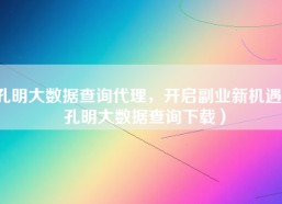 孔明大数据查询代理，开启副业新机遇（孔明大数据查询下载）