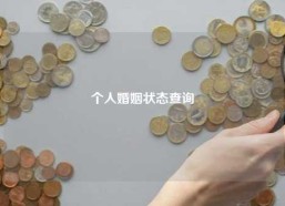 个人婚姻状态查询