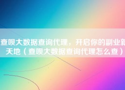 查呗大数据查询代理，开启你的副业新天地（查呗大数据查询代理怎么查）