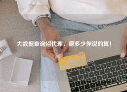 大数据查询招代理，赚多少你说的算！