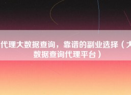 代理大数据查询，靠谱的副业选择（大数据查询代理平台）