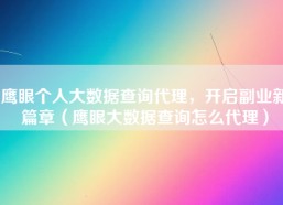 鹰眼个人大数据查询代理，开启副业新篇章（鹰眼大数据查询怎么代理）