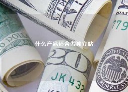 什么产品适合做独立站