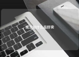 独立站什么品好卖