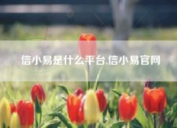 信小易是什么平台,信小易官网