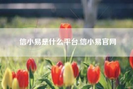 信小易是什么平台,信小易官网