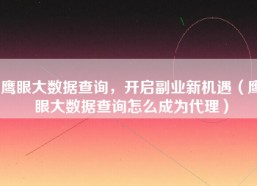 鹰眼大数据查询，开启副业新机遇（鹰眼大数据查询怎么成为代理）