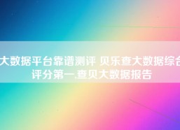 大数据平台靠谱测评 贝乐查大数据综合评分第一,查贝大数据报告