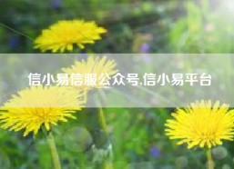 信小易信服公众号,信小易平台