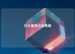 什么是独立站电商