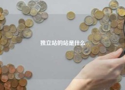 独立站的站是什么