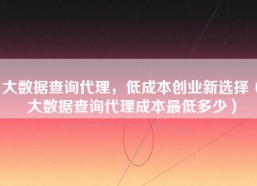 大数据查询代理，低成本创业新选择（大数据查询代理成本最低多少）
