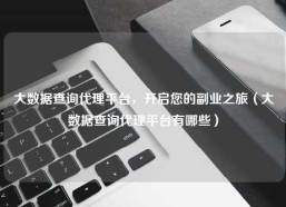 大数据查询代理平台，开启您的副业之旅（大数据查询代理平台有哪些）
