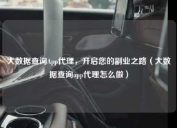 大数据查询App代理，开启您的副业之路（大数据查询app代理怎么做）