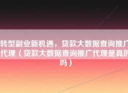 转型副业新机遇，贷款大数据查询推广代理（贷款大数据查询推广代理是真的吗）