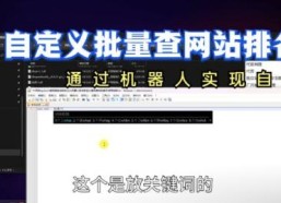 机器人实现自动化自定义批量查自己网站在百度的排名