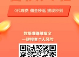 信小易大数据怎么代理，信小易查征信准吗