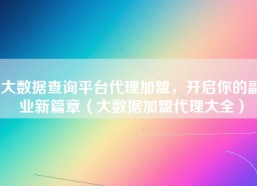 大数据查询平台代理加盟，开启你的副业新篇章（大数据加盟代理大全）