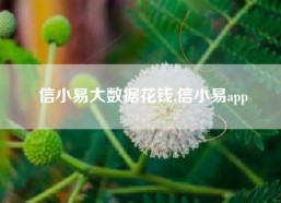 信小易大数据花钱,信小易app