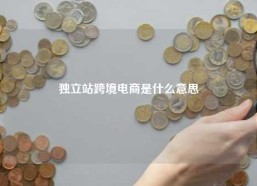 独立站跨境电商是什么意思