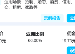 代理大数据查询网黑查询赚佣金