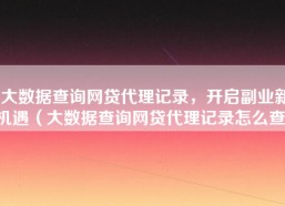 大数据查询网贷代理记录，开启副业新机遇（大数据查询网贷代理记录怎么查）